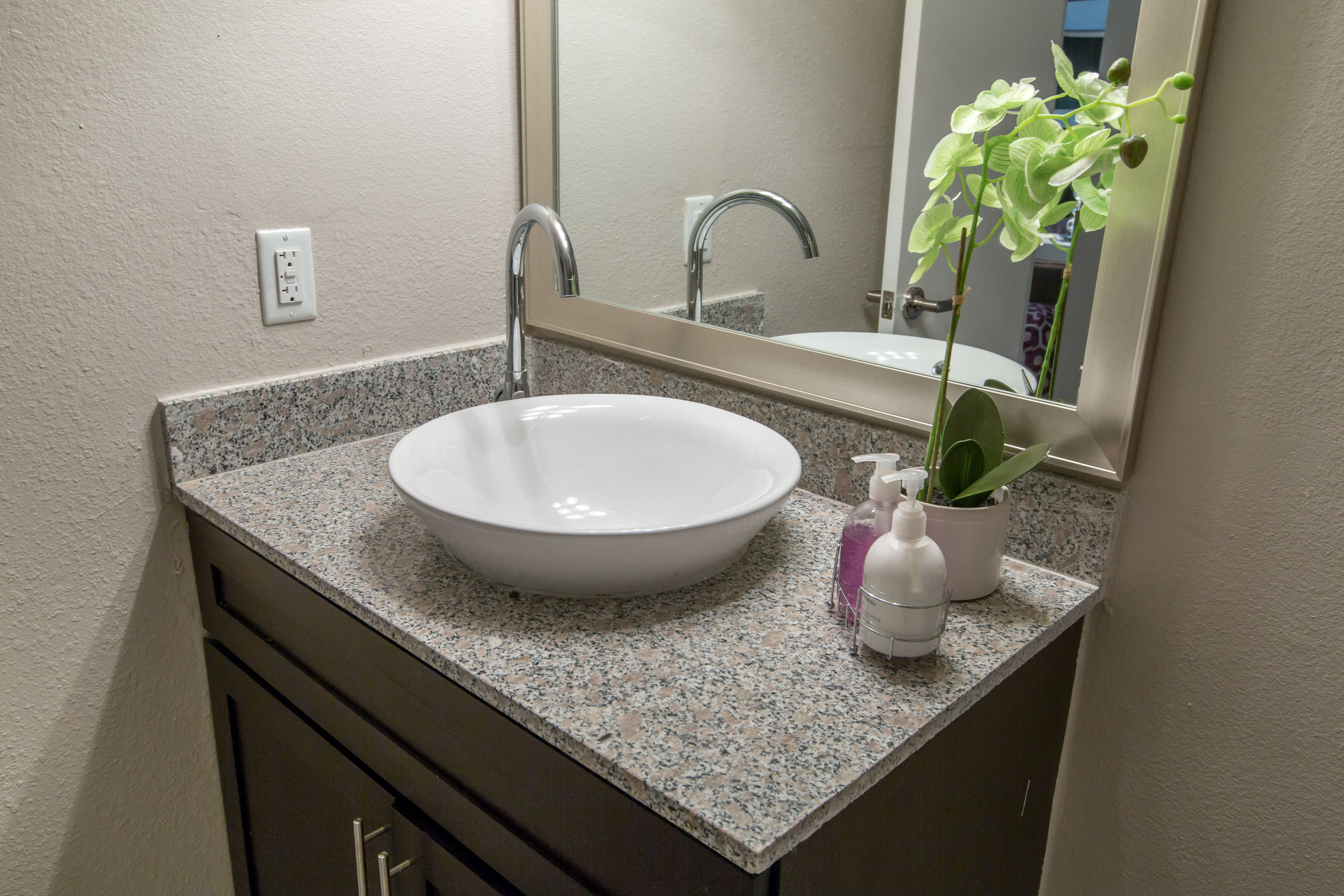 Photos and Video of The Violet in Austin, TX